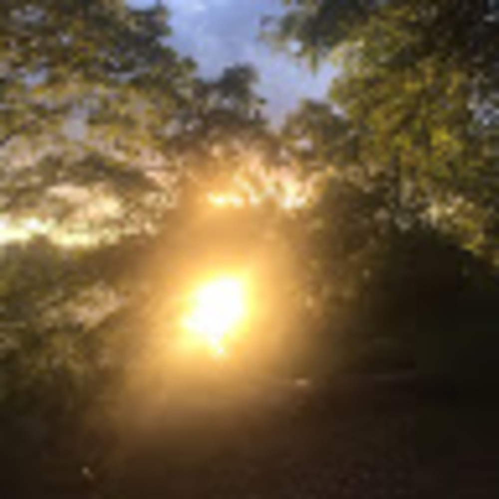 Meet your Posher, Esther